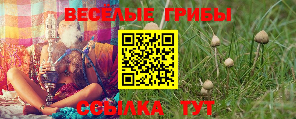 Галлюциногенные грибы ЛСД Семилуки