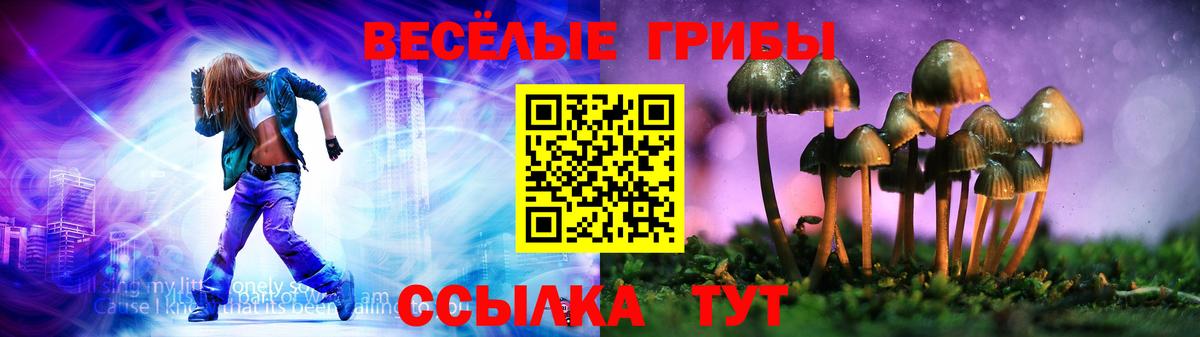 Семилуки  Псилоцибиновые грибы ЛСД  Вход с VPN 